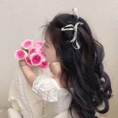 厕所骑士