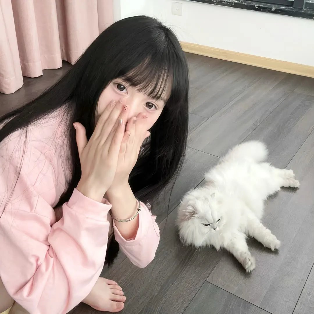 病毒航班